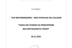meta-kognitiv-terapi-Pia-Callesen